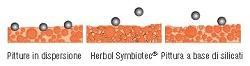 Herbol Symbiotec_ Schema comportamento particelle di sporco.